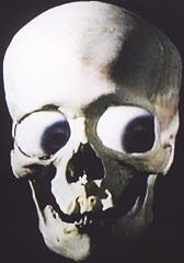 Skull with eyes